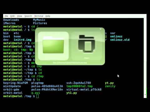 cd basics in BASH - Linux