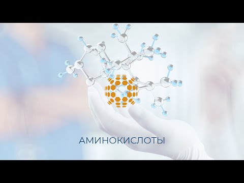 Аминокислоты и белки - роль в организме