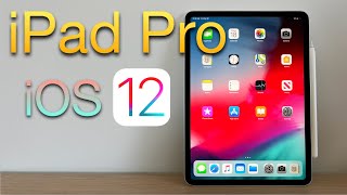 This 2018 iPad Pro 11" has NEVER been updated!