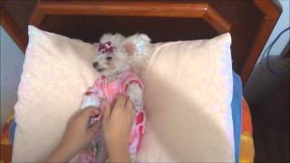 Nina Trocando De Roupa