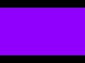 Violet Screen 💜 50 Hours of Pure Violet | Full HD Background, Backdrop &amp; Screensaver