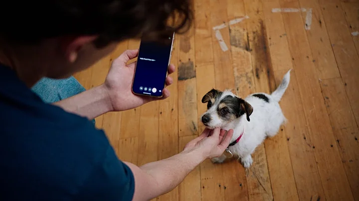 Project Astra | Exploring the Capabilities of a Universal AI Assistant