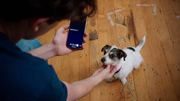 Project Astra | Exploring the Capabilities of a Universal AI Assistant