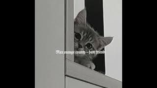 rex orange county - best friend (sped up)