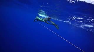 Spearfishing with Cameron Kirkconnell Episode 4- Into the Pacific Wahoo, Giant Coral Trout