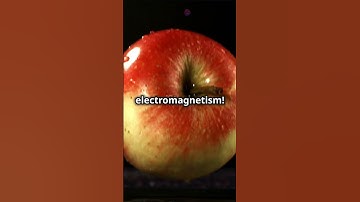 Understanding the Four Fundamental Force in 60 seconds!  #facts #science #short #shorts #shortvideo