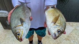 2 Fish NOBODY Eats! Catch Clean Cook- TRASH Fish Taste test- (Bermuda Chub  Spot tail Pinfish)