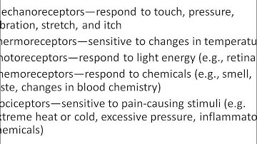 A&P I Chapter 13 part 1 intro and terminology