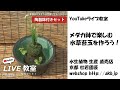 YouTubeライブ　教室　苔玉