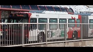 OC Transpo bus #6615, a 2010 New Flyer D60LFR articulated bus (SCRAP!) @ Greenboro Transitway stop