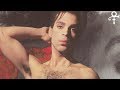 (MUST WATCH) HOT, SEXY PRINCE ROGERS NELSON