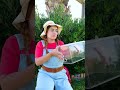 Square Watermelon Process 🍉 You Won’t Believe This!