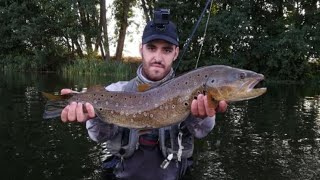 Fly fishing --- Pesca a mosca de truchas en el EDS del Tormes I ( Rio tormes ,Salamanca)