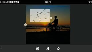 How to add Bird Silhouette on your picture using SNAPSEED screenshot 3
