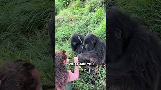 Man & Woman Will Never Change Oh My Goodness Gorilla Wife