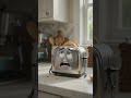 🍞 The Lazy Toaster has one job... and it's already tired! 😂