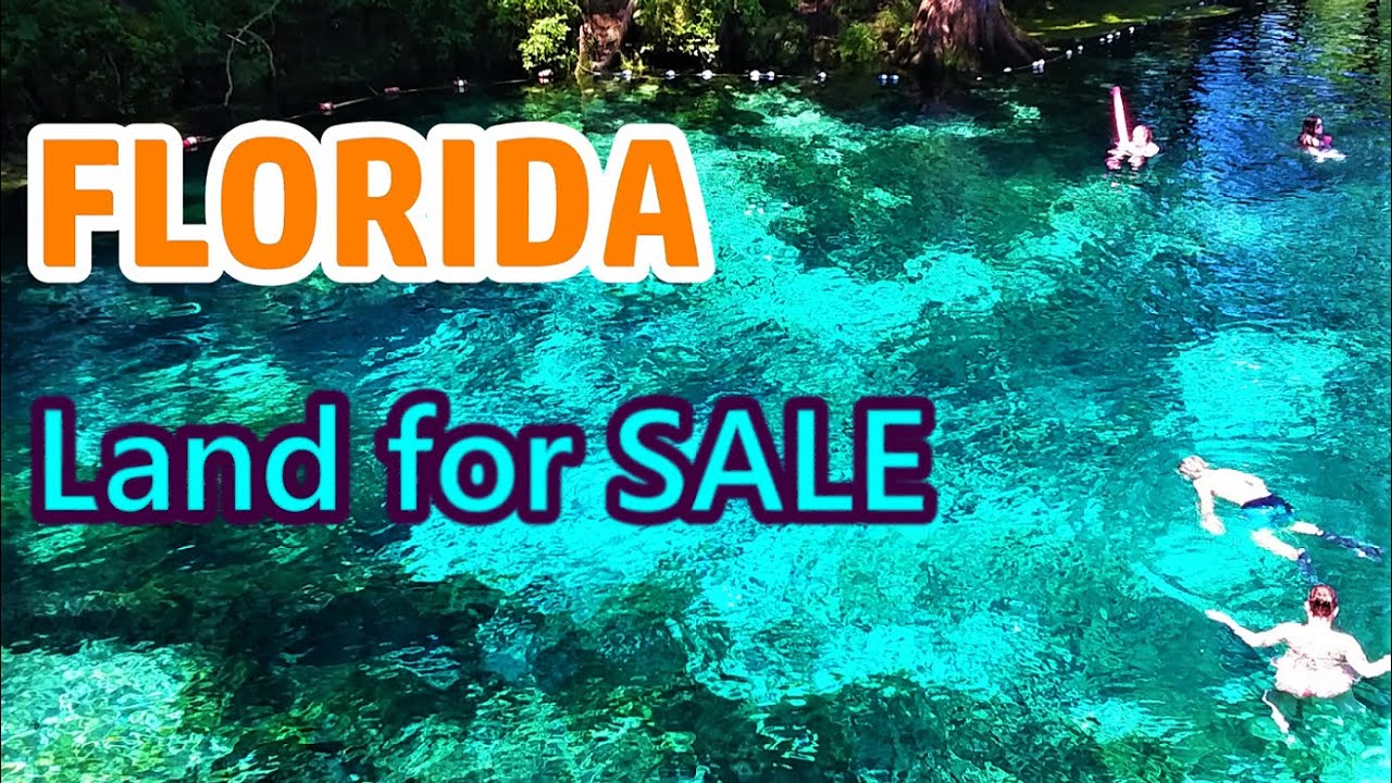 FLORIDA Land For Sale 3 Palm Trees & Blue Springs 🌴🌴 YouTube