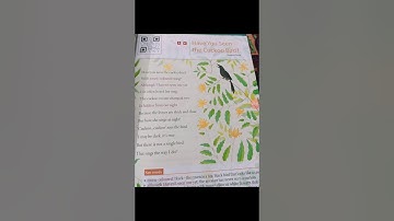 Have you seen the cuckoo bird