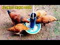 How To Make Automatic Chicken Feeder at Home | Craft Village