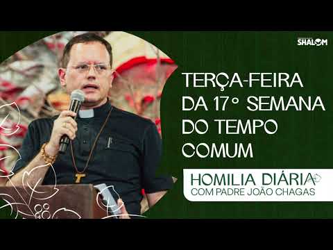 Homily for Tuesday of the 17th Week in Ordinary Time | Fr. João Chagas | 07/28/2026