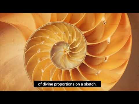 Exploring the ISC-RO Biomaterials for Cars Project in the USA: Advancements and Innovations