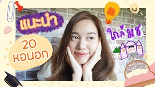 รีวิวหอนอกมช. รวม20หอพักดีๆนอกมหาวิทยาลัยเชียงใหม่