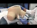 PD Lab Male Genitourinary & Rectal Exam