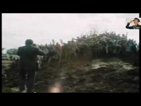 السعيد الهلالي الرئييس السادات في عيد ميلاده عام 1978 م