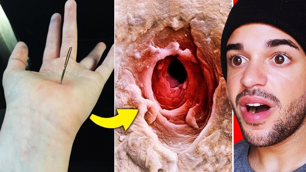 Coisas que você SÓ PODE VER com um MICROSCÓPIO!