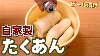 【自家製たくあん】ピールをつかって、畑で収穫した大根をたくあんにする！