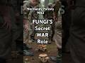 Discover fungi's wartime secret! #FungiFacts #WWIIHistory