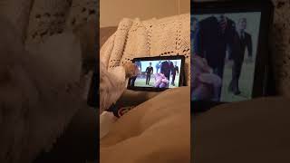 Winter Watching Free Birds