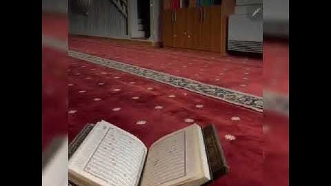 تلاوة حجازية من سورة الذاريات للقارئ توفيق ابو الحمدان