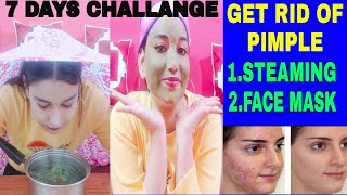 How To Get Rid Off Pimples Instantly | Pimple Permanent Solutions | Pimple Treatment At Home