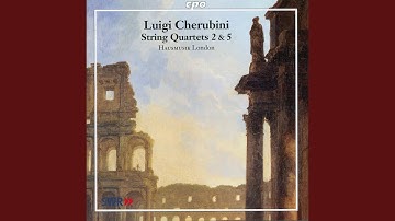 String Quartet No. 2 in C Major: IV. Finale. Allegro vivace
