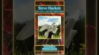 Steve Hackett - White Dove #Shorts