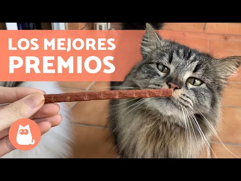 Video: Que Son Las Golosinas Para Gatos, Que Son, Como Se Usan