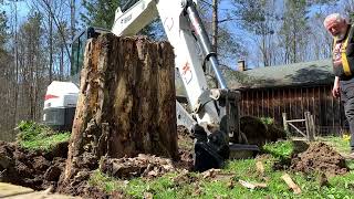 Chickens like Bobcats? New Bobcat ripper for E35 mini excavator removing stump