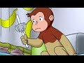 おさるのジョージ 🐵ワンちゃん大好き 🐵TVアニメシリーズ 🐵 フルシーズン1 🐵