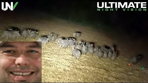 Forsen reacts to World Record for Hogs Eliminated in Less Than 30 Seconds