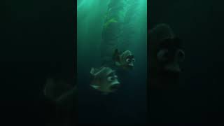 Stan Tries to Help Baby Dory | Dory Lost in the Ocean | Baby Dory Alone - Finding Dory Scenes Part 4