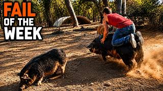 Funny Videos Try Not to Laugh: Funny Fails Compilation: People Failing Hilariously P134