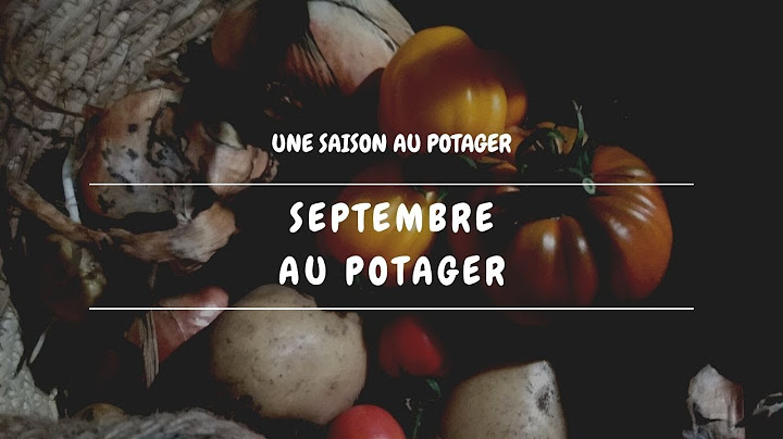 📅 Septembre au potager