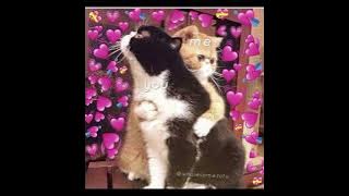 Lyla- karena kamu cantik speed up version | Lisa