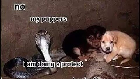 Tf2 - PASS Time exploiting! /W Dave