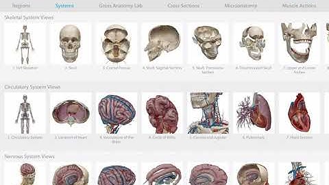 Finding content: Browse or Search | Human Anatomy Atlas | 2019.1