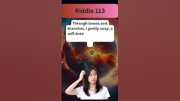 "🔍 Crack the Code! Dive into Riddle 113 Magic! #Shorts"