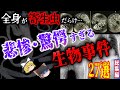 【閲覧注意】恐怖の実例?!寄生虫に侵された人々の末路…驚愕・悲惨な生物事例 27選/生物が巻き起こした爆発・大騒動/脅威の生物発見/本当にあった怖い話【リライト総集編/ゆっくり解説】【睡眠用・作業用】