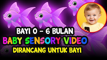 VIDEO KHUSUS BAYI 6 BULAN! Animasi Sederhana Ini Akan Membuat Bayi Anda Berhenti Menangis!