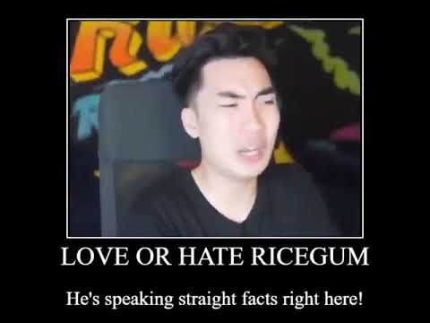 love-or-hate-ricegum.-he's-speaking-straight-facts-right-here.-chinese-ricegum-meme